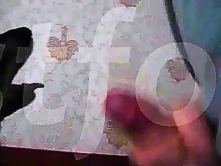 Porn dog lick dick