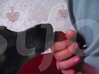 Porn dog lick dick