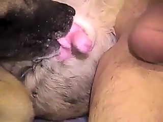 Gay man gets knotted