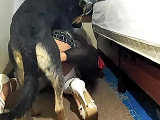 Crossdresser dog sex
