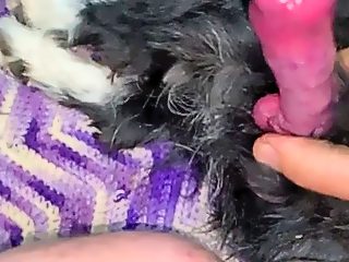 Man fucks with dog in ass