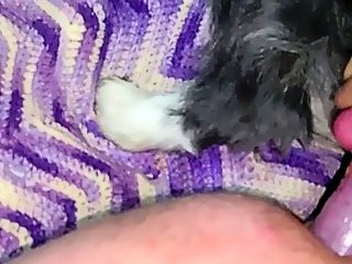 Man fucks with dog in ass