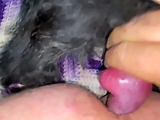 Man fucks with dog in ass