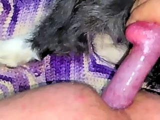 Man fucks with dog in ass