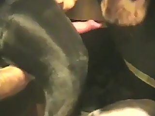 Handjob dog sex