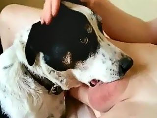 Dog sucking mans dick