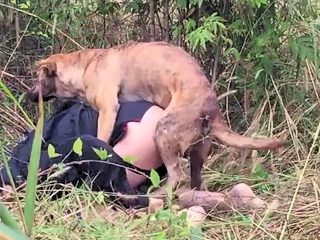 Dog fuck anal gay