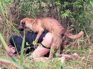 Dog fuck anal gay