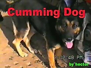 Gay dog cum porn