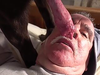 Man suck dog penis