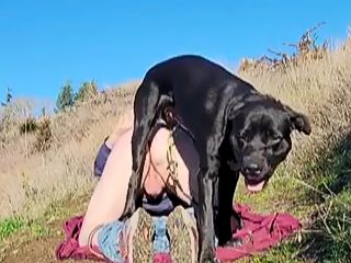 Gay beastiality porn