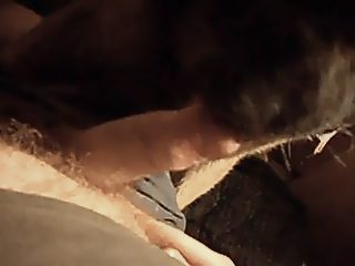 Dog sucking cock porn
