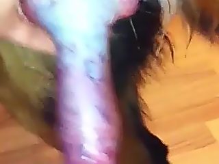 Dog cumming on men compilation