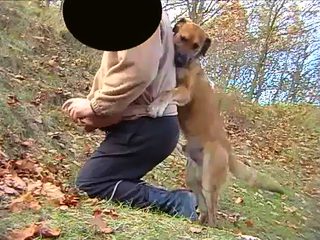 Gay zoo porno