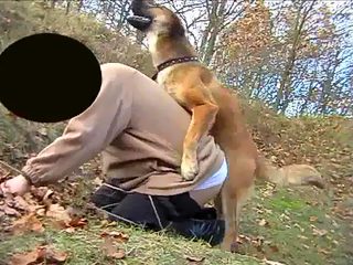 Gay zoo porno