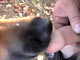 Gay zoo porno