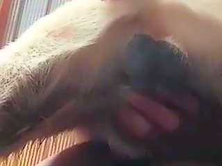 Homemade gay dog sex