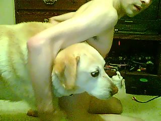 Dog fuck boy