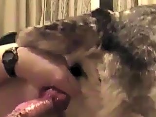 Men and dog sex