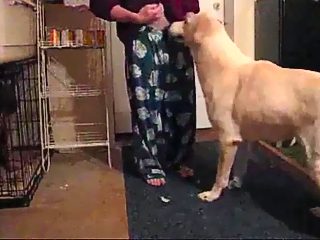 Dog man porn