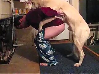 Dog man porn