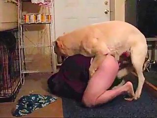 Dog man porn