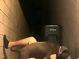 Dog anal creampie man