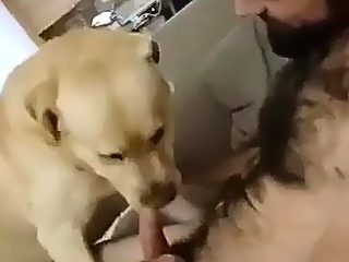 Men sex with dog
