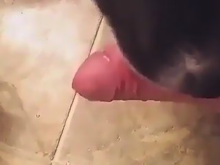 Dog lick dick compilation