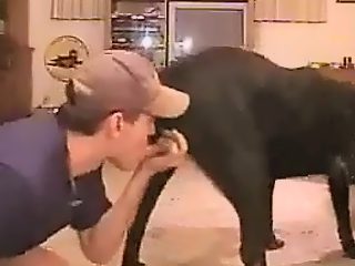 Dog men sex