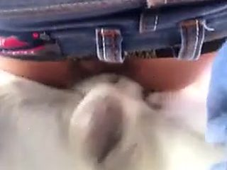 Dog knotted gay