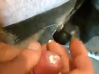 Dog sucks guys cock