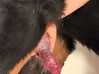 Man x dog porn