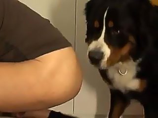 Man x dog porn
