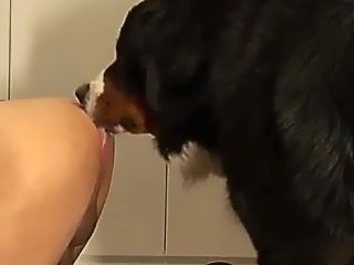 Man x dog porn