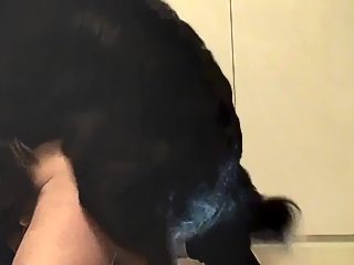 Man x dog porn
