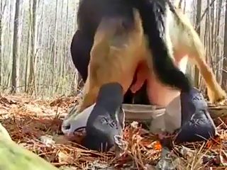 Gay guy fucks dog