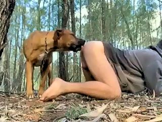 Gay guy fucks dog