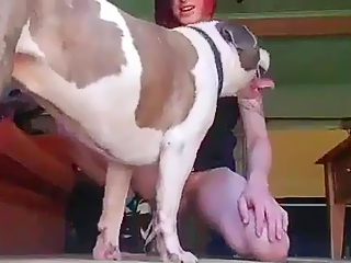 Boy xxx dog